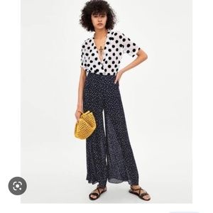 Zara transparent pants